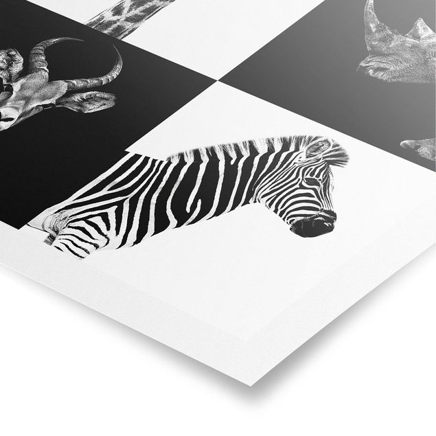Prints animals Safari Quartet