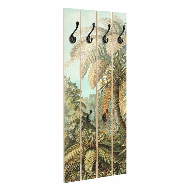 Wall coat hanger Botany Vintage Illustration Leaves Ferns