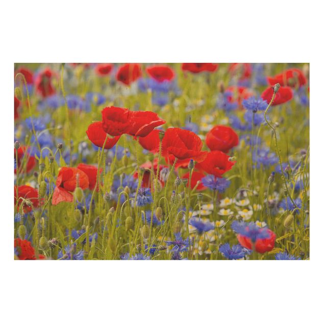 Wood prints flower Summer Meadow With Poppies And Cornflowers