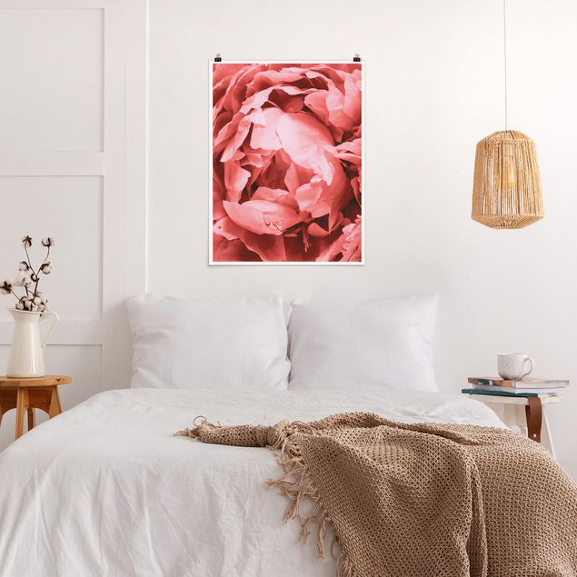 Prints floral Peony Blossom Coral