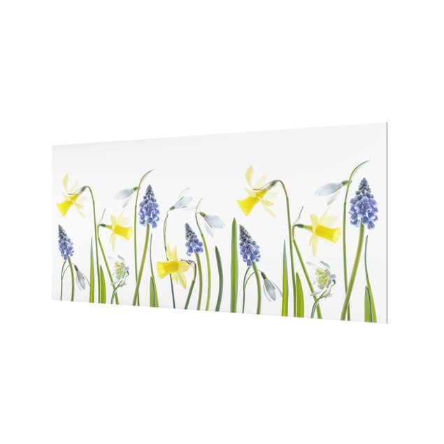 Glass Splashback - Spring Flowering - Landscape 1:2