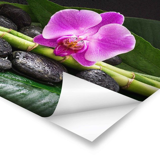 Green canvas wall art Green Bamboo With Orchid Flower