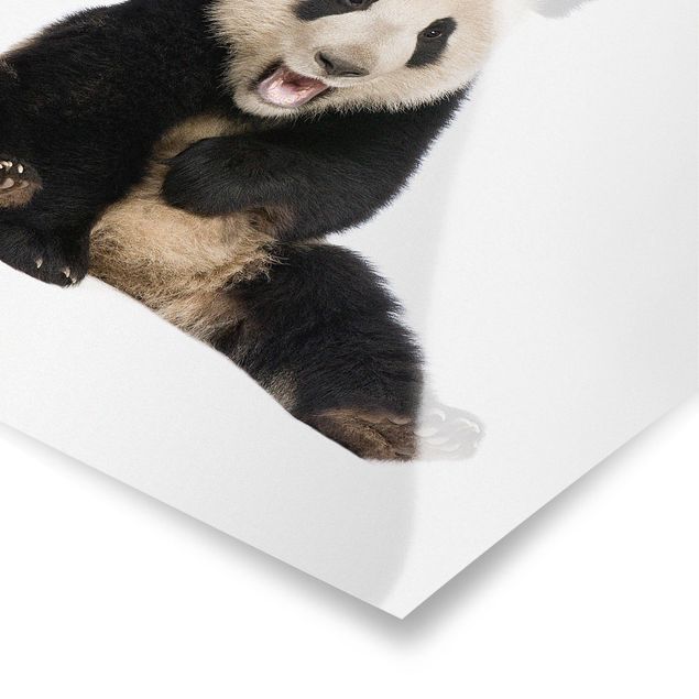 Contemporary art prints Laughing Panda