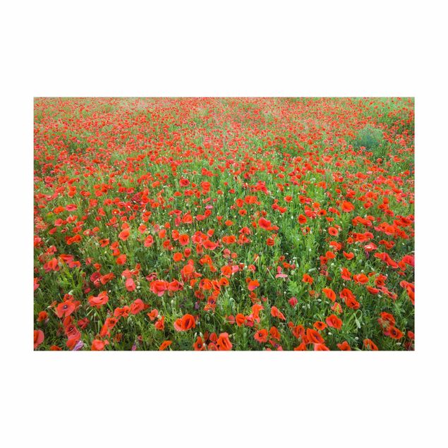 floral area rugs Poppy Field