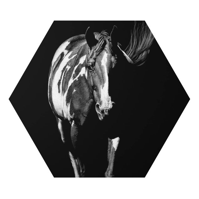 Prints black and white Horse In The Dark