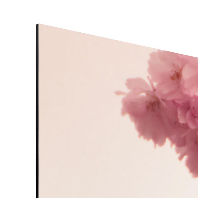 Prints pink Pale Pink Spring Flower With Bokeh