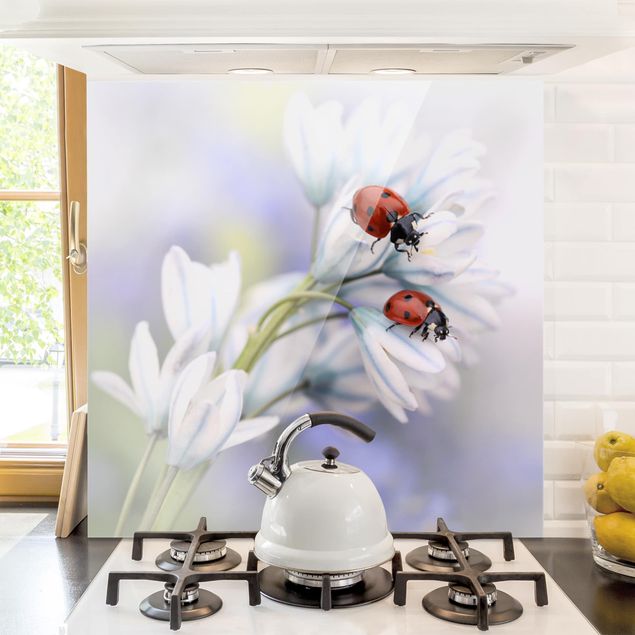 Kitchen Ladybug On Flowers