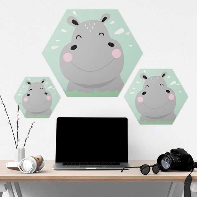 Hexagon shape pictures The Happiest Hippo