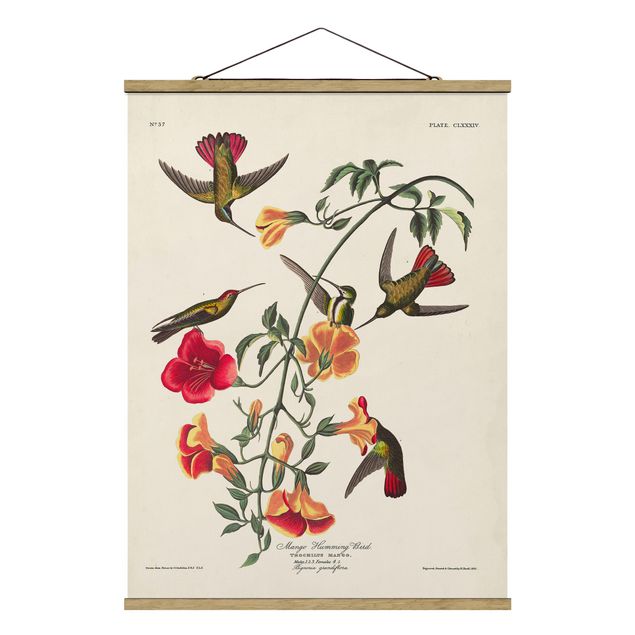 Floral canvas Vintage Board Mango Hummingbirds