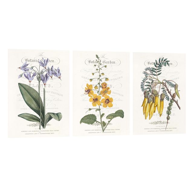 Floral prints Botanical Tableau Set I