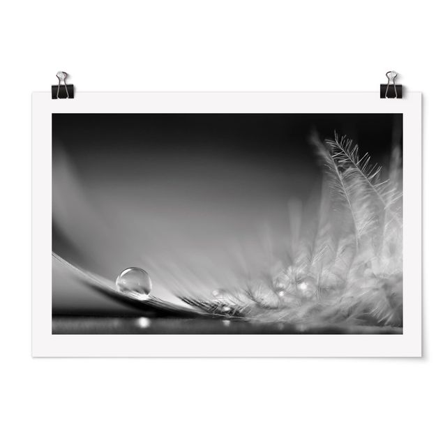 Feather poster Story of a Waterdrop Black White