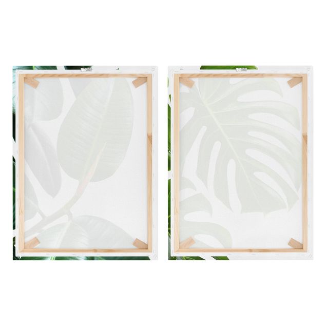 Wall art prints Monstera And Rubber Tree
