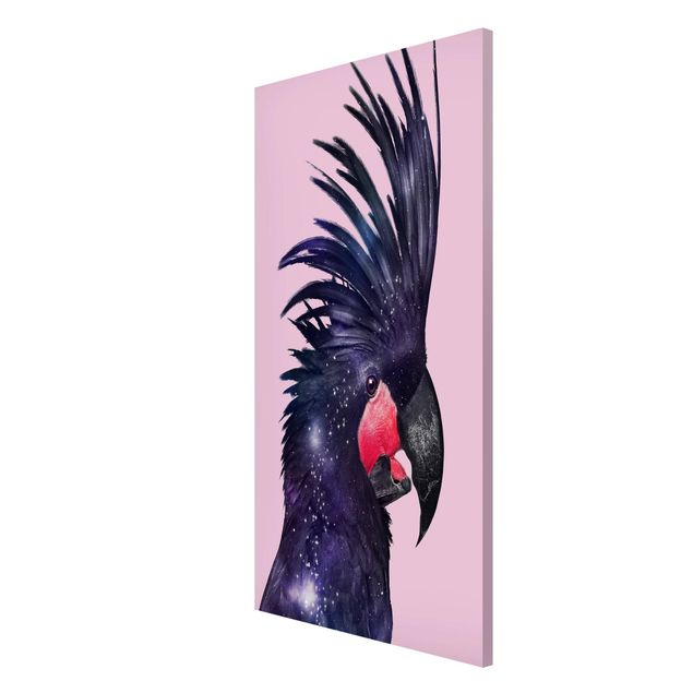 Magnet boards animals Cockatoo With Galaxy