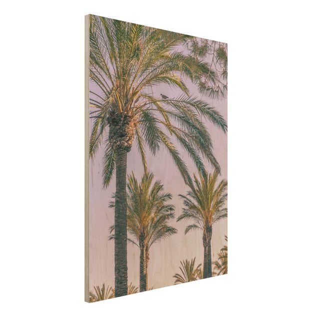 Kitchen Palm Trees At Sunset