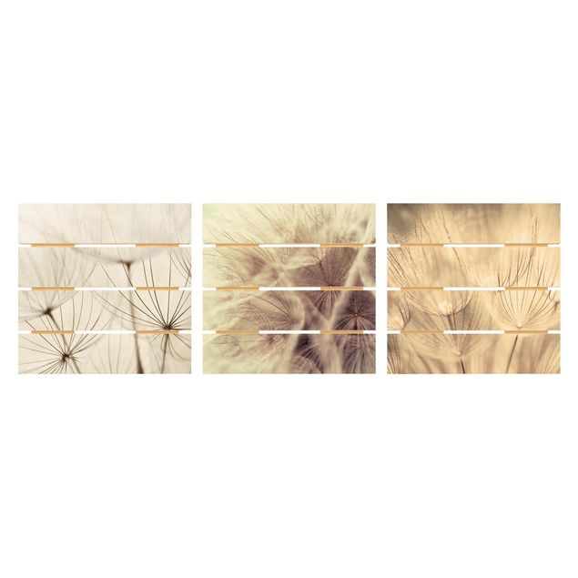 Wood photo prints Dandelions And Grasses