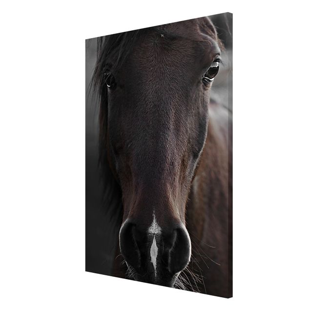 Magnet boards animals Dark Horse