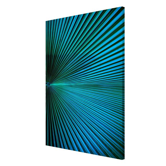 Magnet boards flower Tropical Plants Palm Leaf In Turquoise II