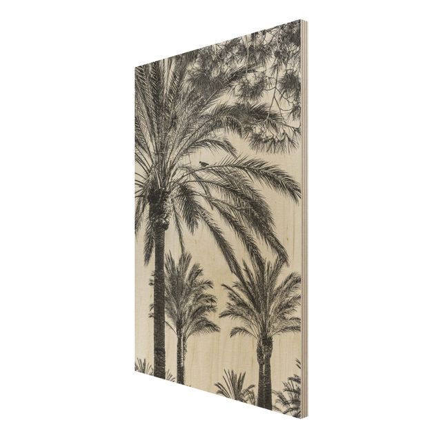 Wood prints landscape Palm Trees At Sunset Black And White