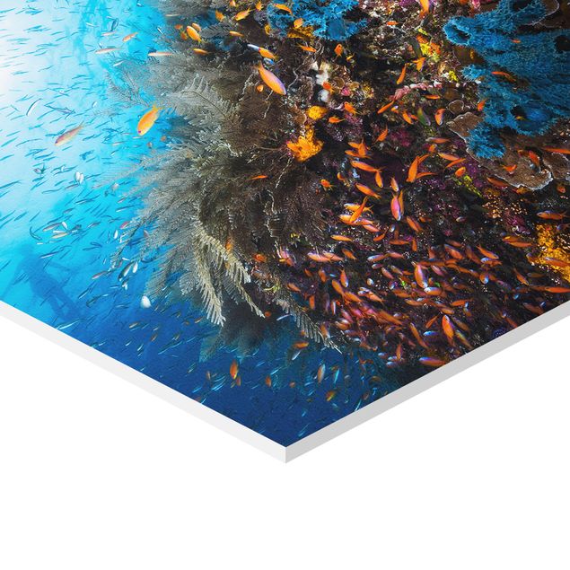 Prints blue Lagoon Underwater