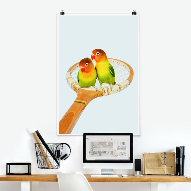 Kitchen Tennis With Birds