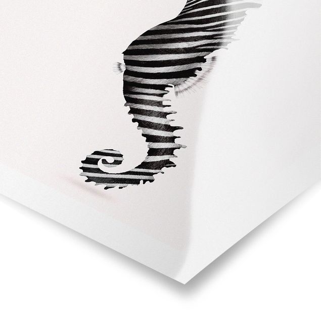 Art posters Seahorse With Zebra Stripes