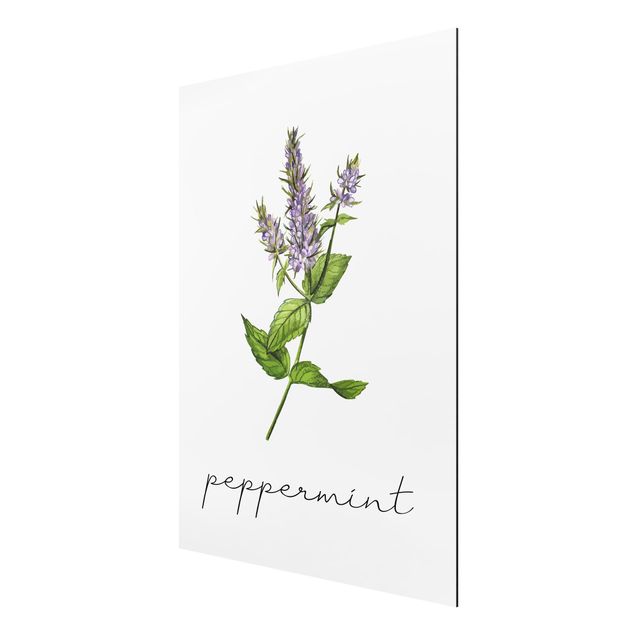 Prints flower Herbs Illustration Pepper Mint