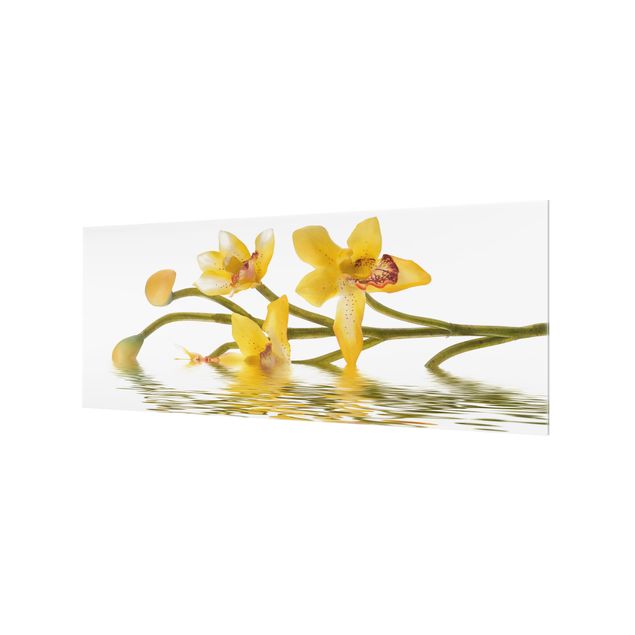 Glass Splashback - Saffron Orchid Waters - Panoramic