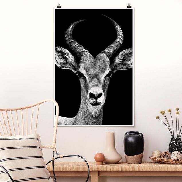 Kitchen Impala antelope black and white