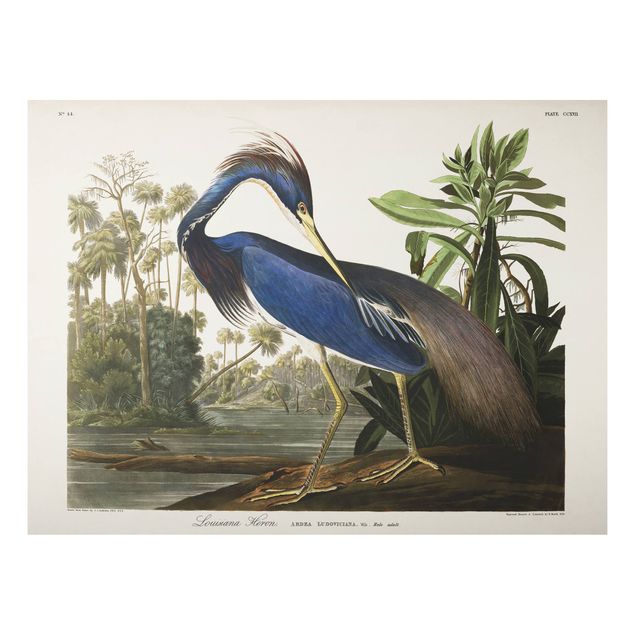 Vintage posters Vintage Board Louisiana Heron
