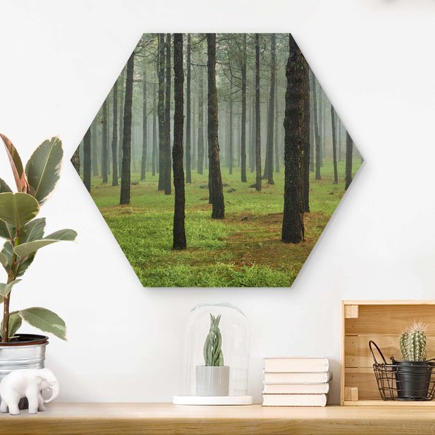 Wood prints landscape Deep Forest With Pine Trees On La Palma