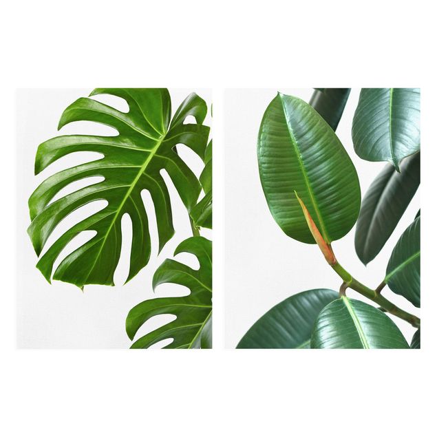Prints Monstera And Rubber Tree