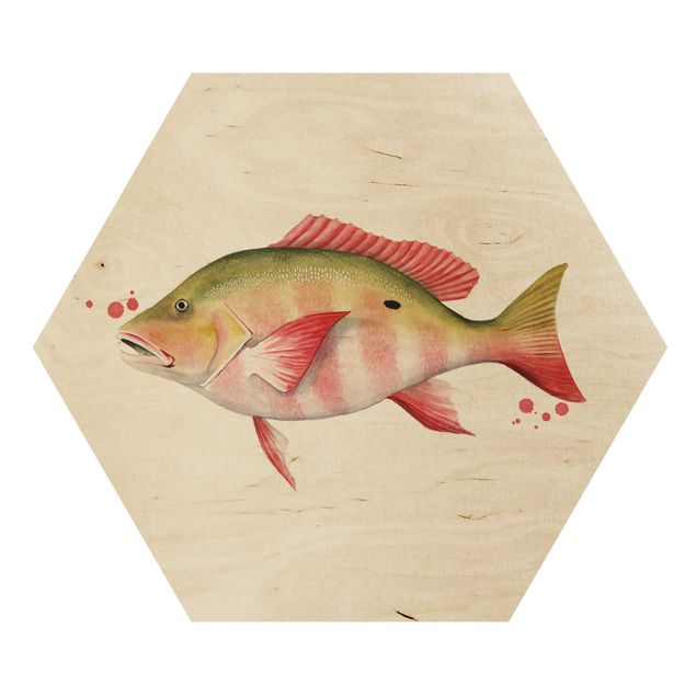 Wooden hexagon - Color Catch - Northern Red Snapper