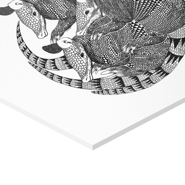 Hexagon photo prints Illustration Armadillos Black And White Pattern