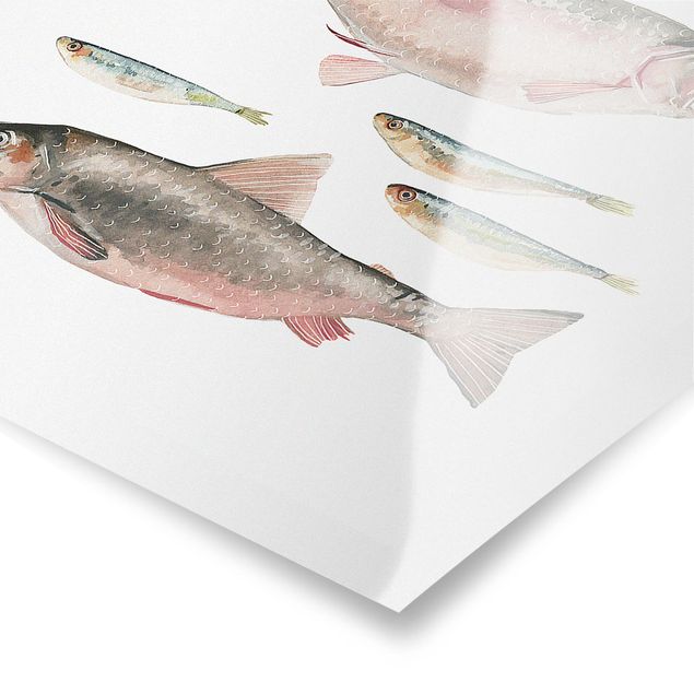 Prints Seven Fish In Watercolour I
