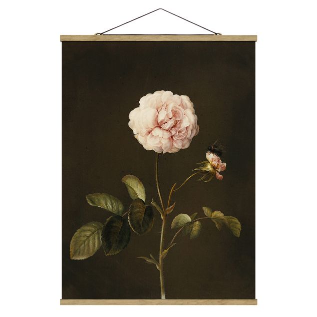 Floral canvas Barbara Regina Dietzsch - French Rose With Bumblbee