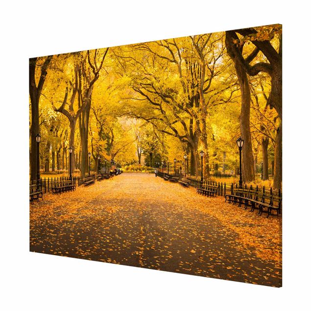 Contemporary art prints Autumn In Central Park