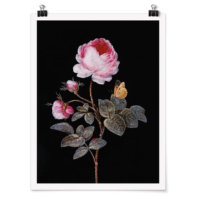 Prints baroque Barbara Regina Dietzsch - The Hundred-Petalled Rose