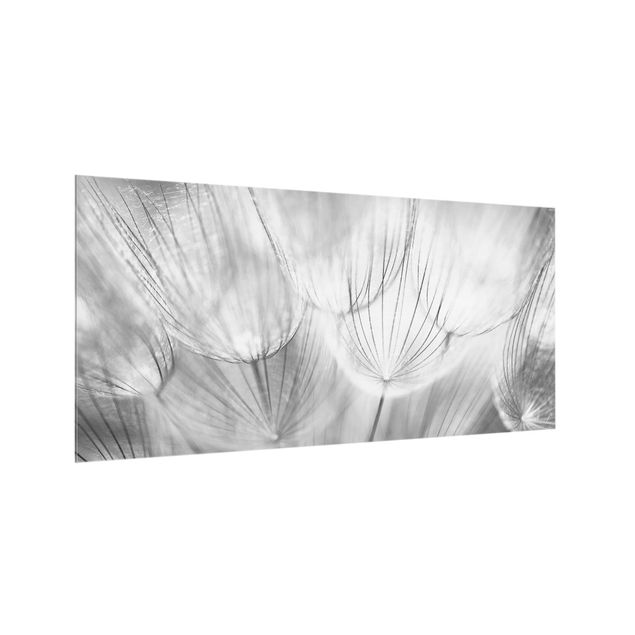 Glass splashback Dandelions Macro Shot In Black And White