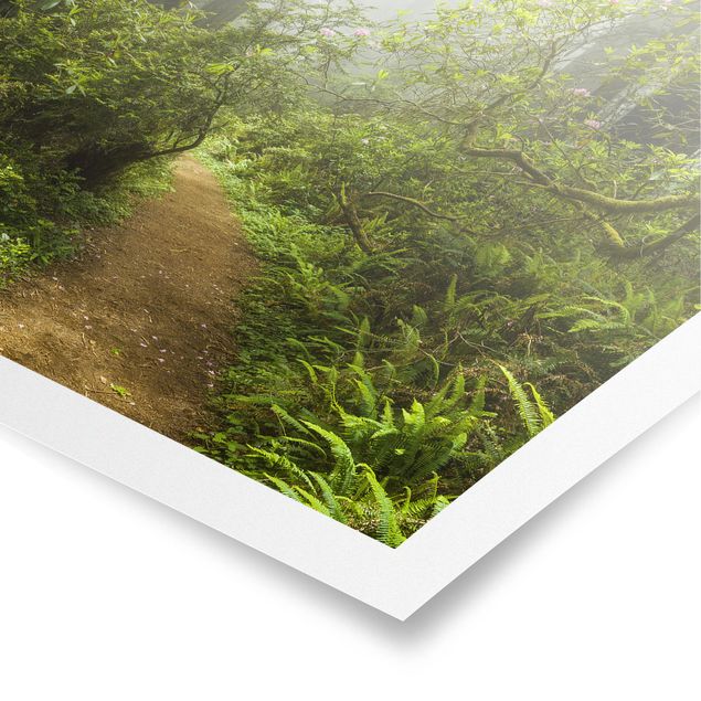 Nature wall art Misty Forest Path