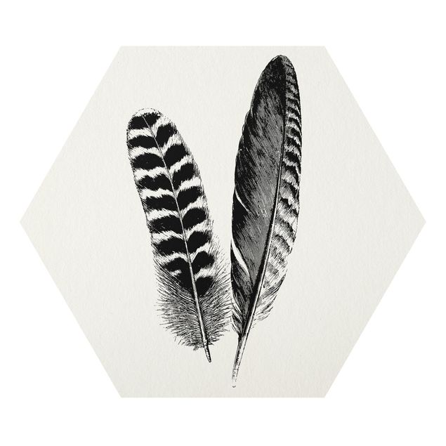 Prints Two Feathers - Drawing