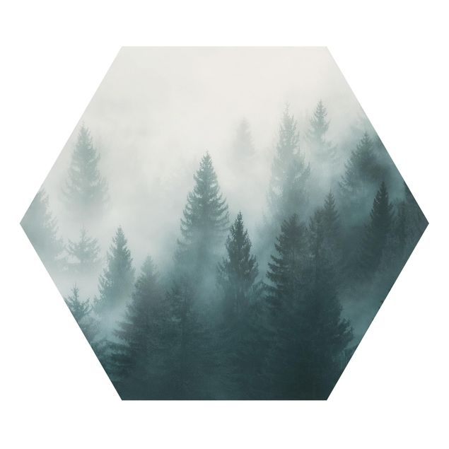 Prints nature Coniferous Forest In Fog