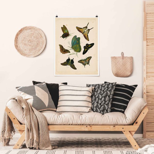 Butterfly art print Vintage Illustration Exotic Butterflies