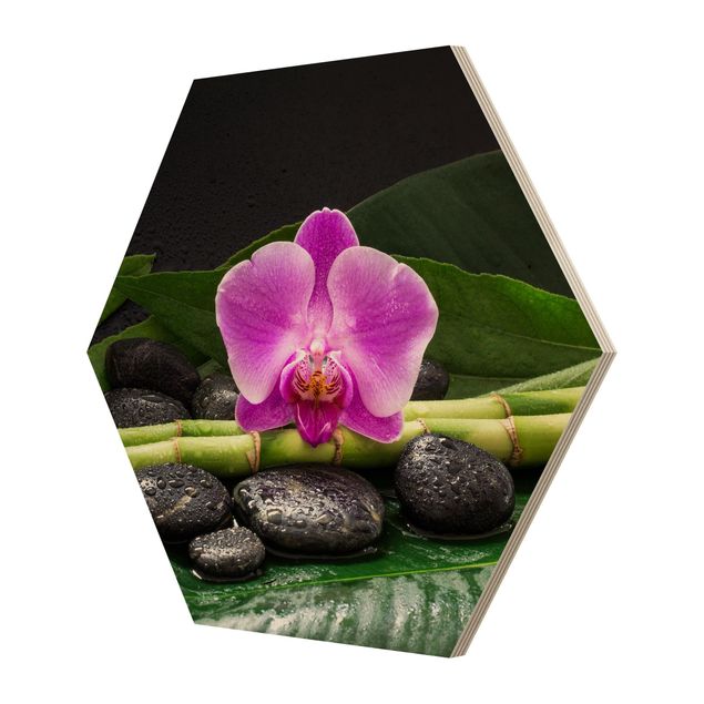 Prints floral Green Bamboo With Orchid Blossom