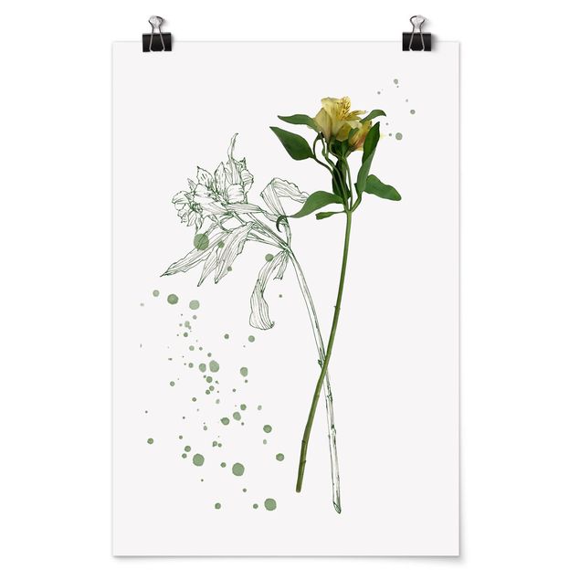 Prints modern Botanical Watercolour - Lily