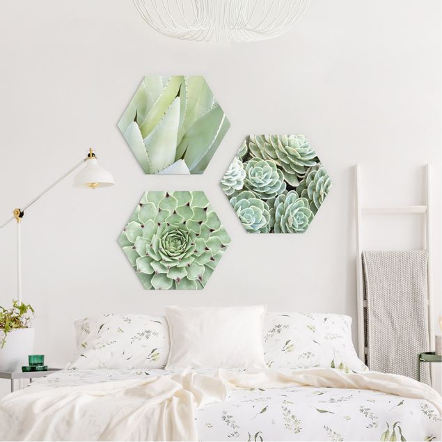 Floral prints Agave And Succulents Trio