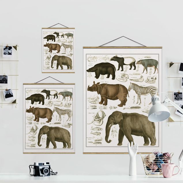 Prints animals Vintage Board Elephant, Zebra And Rhino