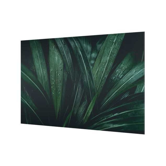 Glass Splashback - Green Palm Leaves - Landscape 2:3