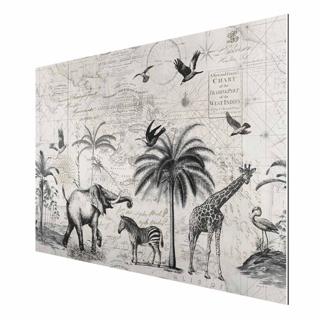 Zebra canvas Vintage Collage - Exotic Map
