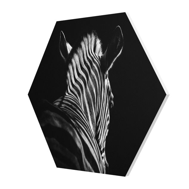 Black and white art Dark Zebra Silhouette