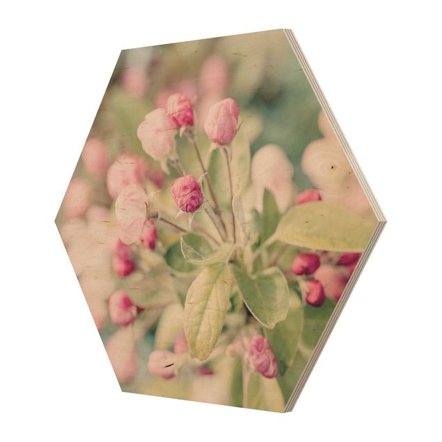 Andrea Haase Apple Blossom Pink Bokeh